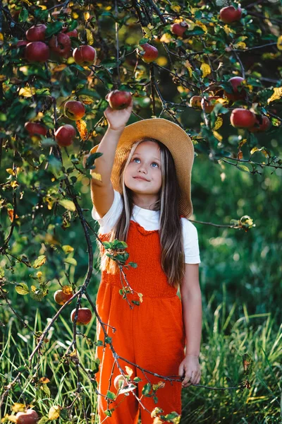 Ein Mädchen Mit Hut Pflückt Einen Apfel Garten — Stockfoto