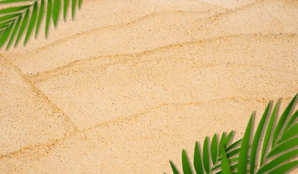 Sand texture backgrond.Top view blurry coconut palm leaves on Sandy beach,Natural sand stone texture with wave,Brown Beach sand dune in sunny day,Banner for Summer Product  presentation