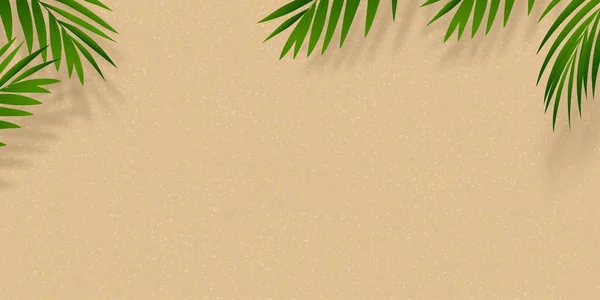 Fundo Textura Praia Areia Com Folha Palma Sombra Ilustração Vetorial — Vetor de Stock