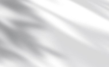 Siluet Beyaz arkaplanda Gölgeyi Bırakır, İllüstrasyon Duvarda Gölge yaprağının şeffaf örtüsünü izole eder, İlkbahar için elementler için tasarım kavramı, Yaz Arkaplanı