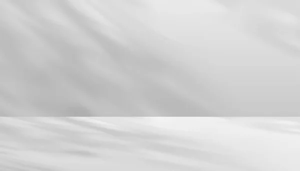 Текстура Серая Цементная Стена Фон Тенью Листья Пустой Дисплей Студии — стоковый вектор