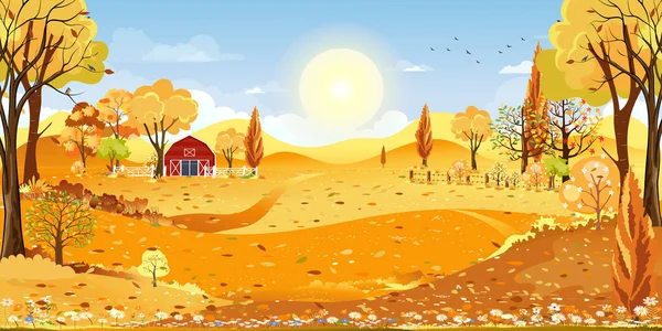 Jesienna Panorama Pola Farmy Błękitnym Niebem Widok Panoramy Jesienna Wieś — Wektor stockowy
