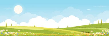 Baharda yeşil alanlar, dağ, mavi gökyüzü ve bulutlar arka planda, Panorama barışçıl kırsal doğada yeşil çimen arazisi. İlkbahar ve yaz afişi için çizgi film vektör illüstrasyonu