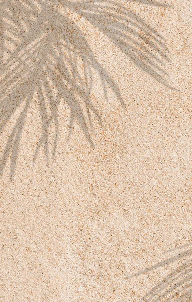 ココナッツパームの葉の影と砂のテクスチャの背景 熱帯の葉のオーバーレイと自然ビーチサンディ トップビュー砂漠の砂が行われました 垂直水平方向の夏休み 休日の背景コンセプト — ストック写真