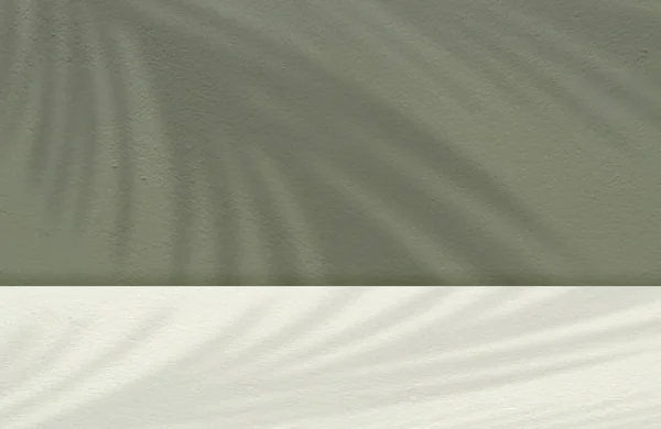 Текстура Бетонной Стены Студийный Фон Абстрактными Листьями Кокосовой Пальмы Зеленом — стоковое фото