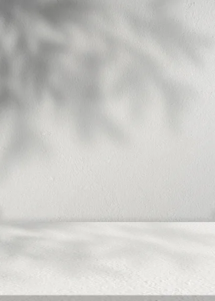 Fundo Estúdio Textura Parede Concreto Com Folhas Sombra Chão Cinza — Fotografia de Stock