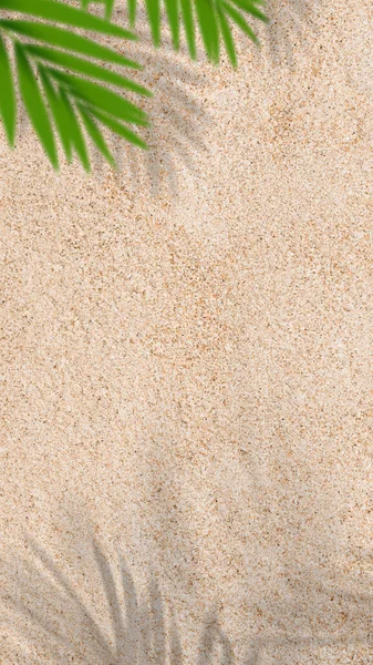 Zand Textuur Achtergrond Met Palmbladeren Silhouet Kokosblad Schaduw Bruin Zandstrand — Stockfoto