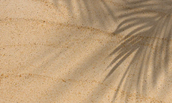 Sand Textur Hintergrund Mit Kokospalmenblättern Schatten Natur Strand Sandig Mit — Stockfoto
