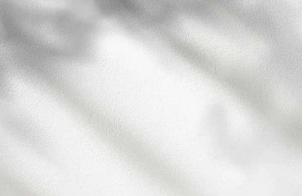 Beton Wall Texture Leaves Shadow Overlay White Background Empty Grey — Stok Foto