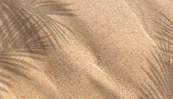 Písčitá Pláž Textura Pozadí Kokosovým Palmovým Listem Stín Sluneční Světlo — Stock fotografie
