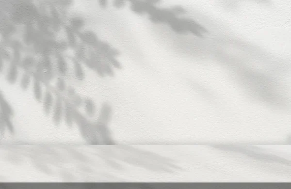 Текстура Бетонной Стены Тенью Листьев Белом Фоне Фон Пустой Серой — стоковое фото