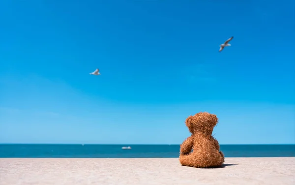 Πίσω Όψη Lonely Teddy Αρκουδάκι Κούκλα Κάθεται Μόνη Της Στην — Φωτογραφία Αρχείου