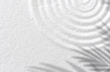 Palmiye yapraklı kum dokusu ruhani desen üzerine gölge, Japon Zen Bahçesi beyaz kum yüzeyi üzerinde Hindistan cevizi yaprağı gölgesi daireler, ahenk, meditasyon, konsept gibi Zen