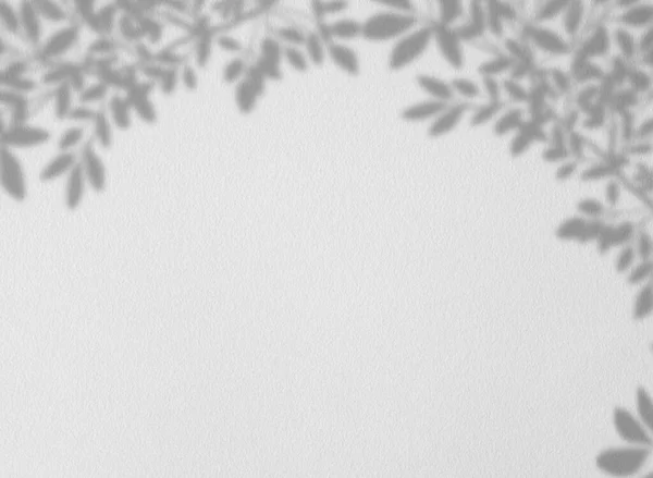 Bladeren Schaduw Overlay Grijze Cement Muur Textuur Achtergrond Leeg Wit — Stockfoto