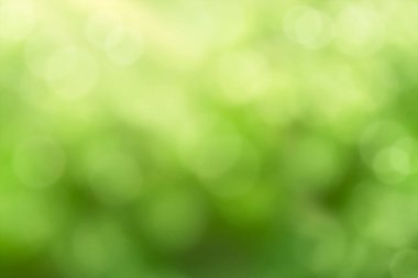 Defocus Bokeh Green Nature arkaplanı, Görüntü Bulanık Dokuma Taç Ağacı Bahçede Sabah Işığı. Fotokopi Alanı, Yaz Satışı, Promosyon Arkaplan Güzel Doğal Sancak