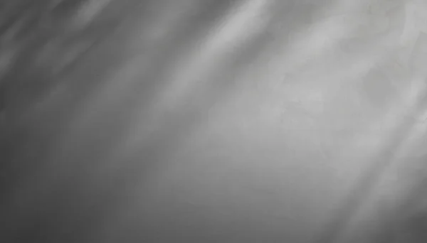 Фон Студии Серая Бетонная Стена Текстура Тенью Листьев Пустой Серый — стоковый вектор