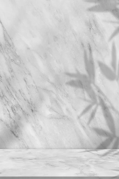 Пустая Студия Фон Мраморная Текстура Бамбуковыми Листьями Тень Накладывается Серый — стоковое фото