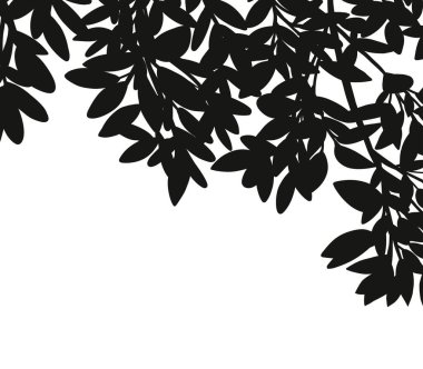 Siluet Gölge Kenarından Çıkar, Resimler Beyaz Duvar arkaplanındaki Gölge yaprağının izole çerçevesi, İlkbahar için elementlerin tasarımı için kavram, Yaz Sancağı