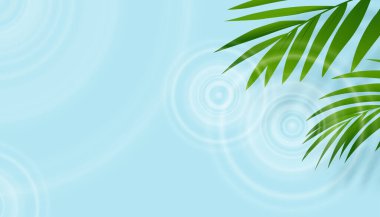 Yeşil Palmiye yaprakları Gölge ile su yüzeyi, berrak mavi su altında tropikal hindistan cevizi yaprağı doku dalgalanmaları, kozmetik ürünleri için vektör bayrak bahar mevcuttur, yaz satış promosyonu