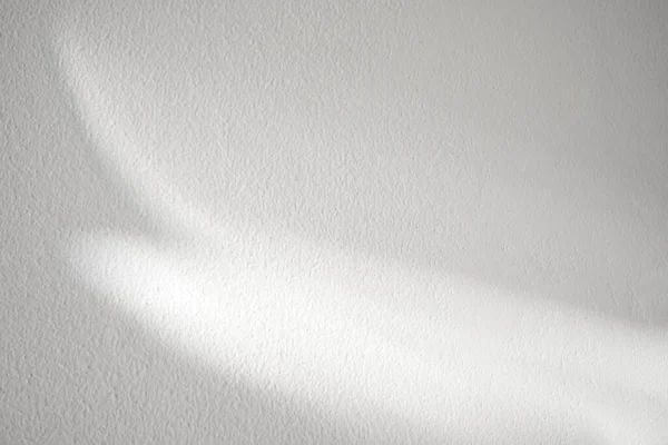 Λευκή Τσιμεντένια Υφή Τοίχου Φύλλα Σκιάς Λευκό Σοβά Χρώμα Τσιμεντένιο — Φωτογραφία Αρχείου