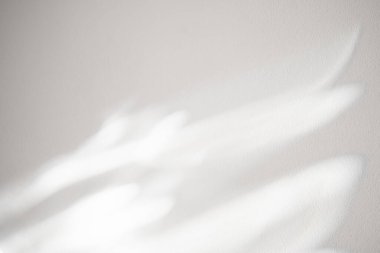  Beton zeminde beyaz alçı üzerine yaprak gölgesi olan beton duvar dokusu, tek renkli fotoğraf için ışık efekti, poster, duvar sanatı, tasarım sunumu