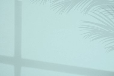 Arka plan Stüdyo Duvarı 'nda palmiye yaprakları gölgesi, yüzey dokusu mavi boya üzerinde pencere ışığı yansıması, Podyum Ekranlı Boş Oda, Üst raf Çubuğu, Yaz Kozmetik Ürünleri Arkaplan Betonu 