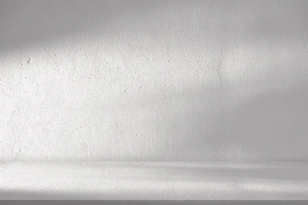 นหล งสต โอผน ขาว นหล องส เทาว างเปล วยแสง ใบเงาบนพ — ภาพถ่ายสต็อก
