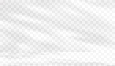 Gölge silueti, Soyut Dallar gölge yansıması, Tropik Yaprak elementi Mockup Ürün Sunumu, İlkbahar, Yaz, Kış, Sonbahar afişi