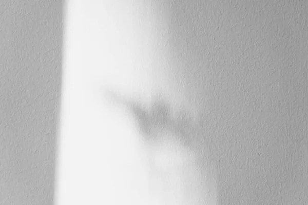 นหล งผน ขาว วคอนกร เงาเป นเส นทแยงม องซ เมนต เทาว — ภาพถ่ายสต็อก
