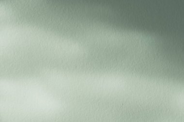 Yeşil Arkaplan, Gölgeli Stüdyo, Beton Duvardaki Aydınlık, Güneş Işıklı Yeşil Nane Ekran Odası, Kozmetik Ürün Sunumu için Pastel Banner, İlkbaharda Satış, Çevrimiçi Dükkan, Yaz,