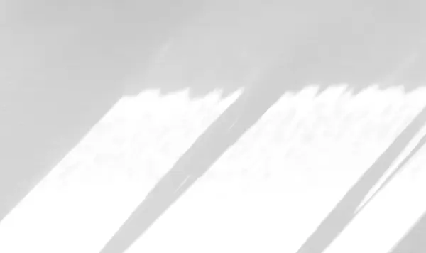 Kör Pencere Gölgesi Işıklı Beyaz Tahta Boya Bulanık Güneş Işığı — Stok fotoğraf