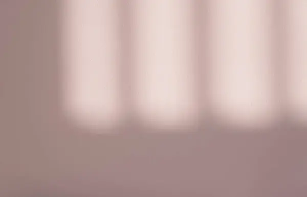 Бежевий Фон Порожня Студія Бетонна Стіна Тіні Листя Світло Грубій — стокове фото