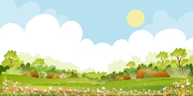 Parkta çiçekli bahar manzarası, tepelerde yeşil çimen çayırı ve bulut mavisi gökyüzü olan vektör illüstrasyon çizgi filmi, güneşli bir yaz günü köyde Banner Nature Farm çimenlik alanı çiçek açıyor.