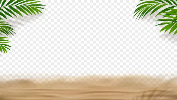 Sand Beach Texture Coconut Palm Leaves Isolated Transparency Background Vector — 图库矢量图片#