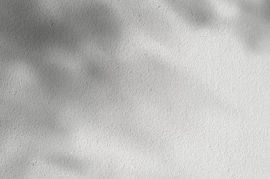 Duvarda Yapraklar, Stüdyo Arkaplanı Gri Çimento zemininde Güneş ışığı yansıması, Soyut ışık ile Boş Kithcen Odası, Ürün sunumu için Arkaplan