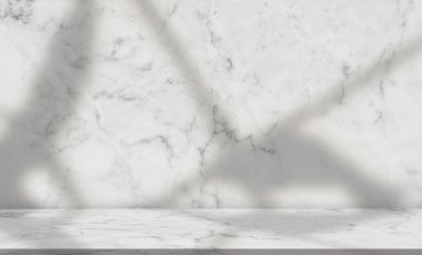 Boş Stüdyo arkaplanı, Yaprakların gölgesi beyaz ve gri duvarda Glossy Floor, Ürün Ekran Doğa granit podyumu, Sunum için Kopya Alanı ile Asgari Arkaplan