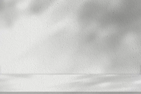 White Concrete Texture Leaves Shadow Wall Studio Background Sunbeam Reflection — Stok Foto