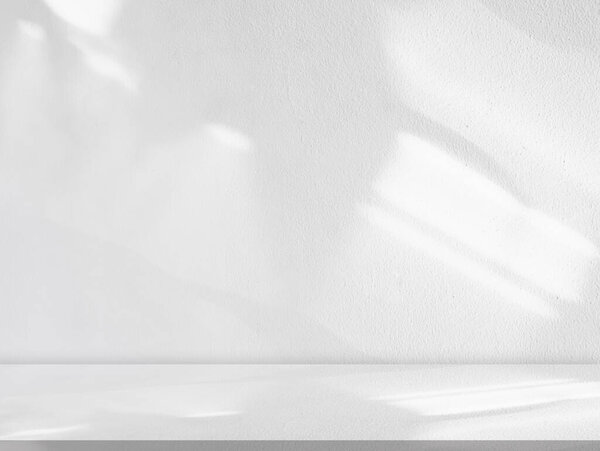 Background White Wall Studio Shadow Leaves Light Cement Floor Surface Stock Photo