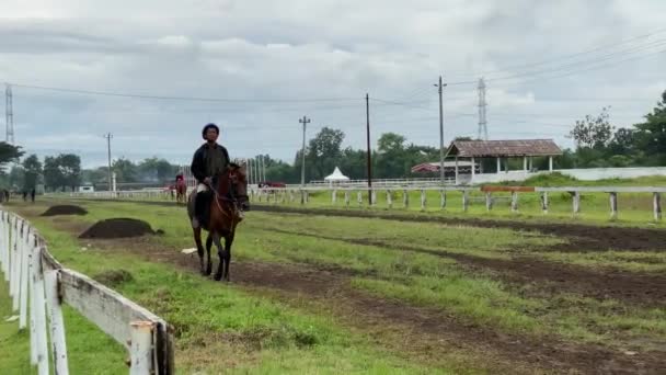 Yogyakarta Indoensia November 2022 Jockeys Training Horses Prepare Horse Racing — Stock Video