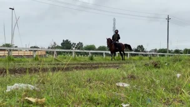 印度支那 2022年11月26日 骑师们正在训练他们的马 准备在跑道上比赛 你看到马被邀请跑得很快 走路也快了吗 — 图库视频影像