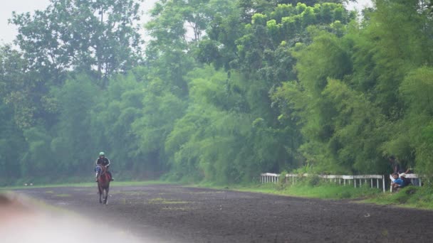 Yogyakarta Indonesien November 2022 Jockey Tränar Sin Tävlingshäst Banan — Stockvideo