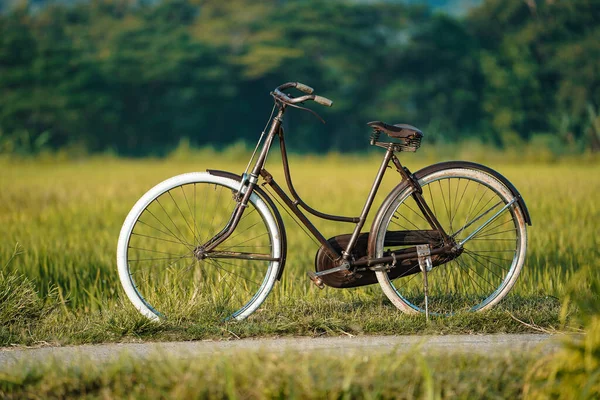 田んぼの周りの村道に展示されている古典的なオネル自転車 — ストック写真