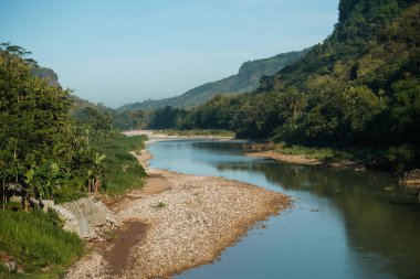 Sriharjo köyündeki orman ve dere manzarası, Bantul, Yogyakarta, Endonezya.