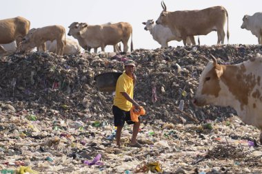 Piyungan atık sahasına yığılmış devasa çöp dağları, leş yiyiciler ve hayvanlar görülebilir. Yogyakarta 'da atık yönetimi acil durumu. : Yogyakarta, Endonezya - 29 Temmuz 2023