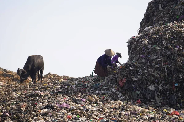 皮延根垃圾填埋场堆积如山 到处可见拾荒者和动物 日惹废物管理紧急情况 — 图库照片