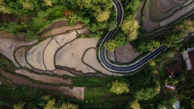Ormanlar ve güzel yeşil pirinç tarlaları arasında asfalt yolu manzarası..