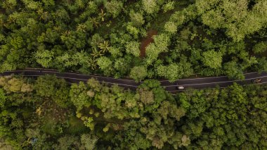 Hava manzarası, asfalt yol orman ve kırsal alanda dönüyor. Jalan Mangunan Bantul, Endonezya 'da yer almaktadır.