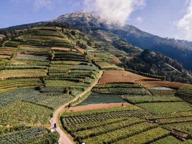 Merkez Java, Endonezya 'daki Sumbing Dağı' nın yamaçlarındaki yeşil meyve bahçelerinin hava manzarası. Güzel ve doğurgan..