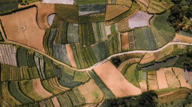 Merkez Java, Endonezya 'daki Sumbing Dağı' nın yamaçlarındaki yeşil meyve bahçelerinin hava manzarası. Güzel ve doğurgan..