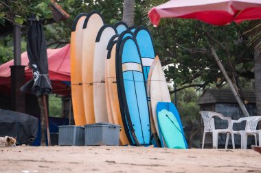 Kuta Beach, Bali 'de kiralık sörf tahtaları..